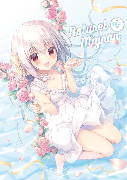 宮坂なこ❤イラスト・CG集|Naturel Mignon -宮坂なこ画集–評価