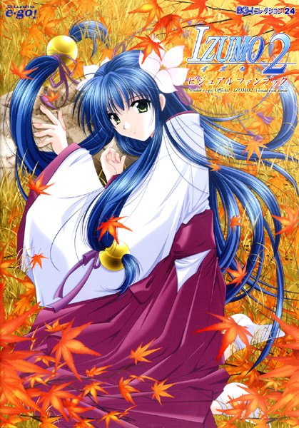 山本和枝❤単行本|IZUMO2 ビジュアルファンブック-評価