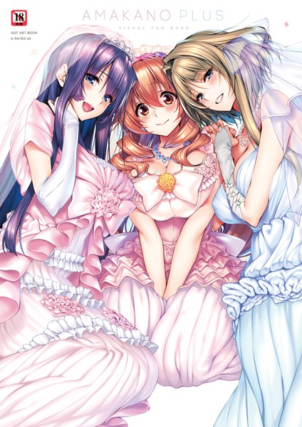 ピロ水❤単行本|アマカノ＋ ビジュアルファンブック-評価5.00