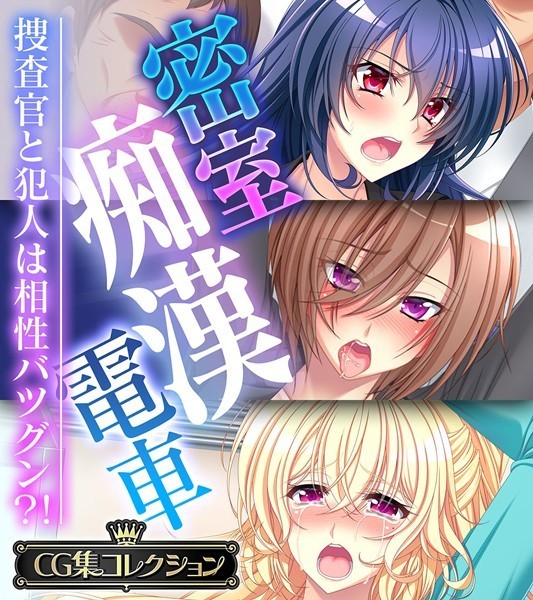 大人のSEXY絵本❤単行本|密室痴●電車 〜捜査官と犯人は相性バツグン？！〜【CG集コレクション】-評価