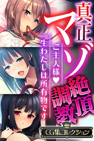 大人のSEXY絵本❤単行本|真正マゾ絶頂調教 〜ご主人様 一生わたしは所有物です〜【CG集コレクション】-評価