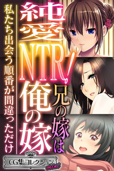 大人のSEXY絵本❤単行本|純愛NTR！兄の嫁は俺の嫁 〜私たち出会う順番が間違っただけ〜【CG集コレクション ミニ】-評価