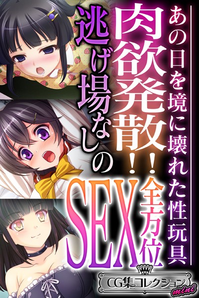 大人のSEXY絵本❤単行本|肉欲発散！！逃げ場なしの全方位SEX 〜あの日を境に壊れた性玩具〜【CG集コレクション ミニ】-評価