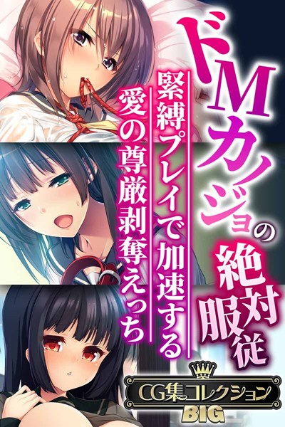 大人のSEXY絵本❤単行本|ドMカノジョの絶対服従 〜緊縛プレイで加速する愛の尊厳剥奪えっち〜【CG集コレクションBIG】-評価