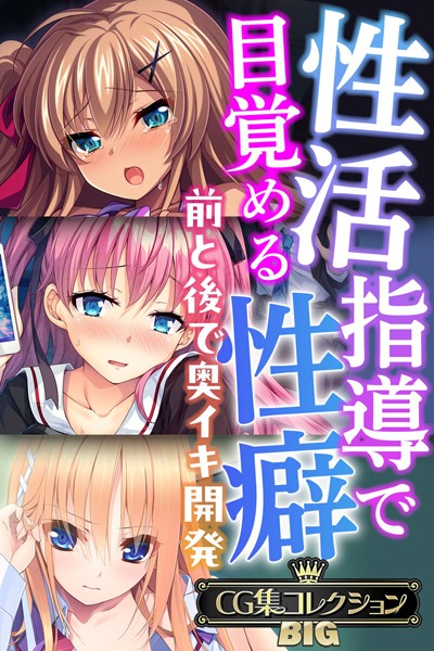 大人のSEXY絵本❤単行本|性活指導で目覚める性癖〜前と後で奥イキ開発〜【CG集コレクションBIG】-評価
