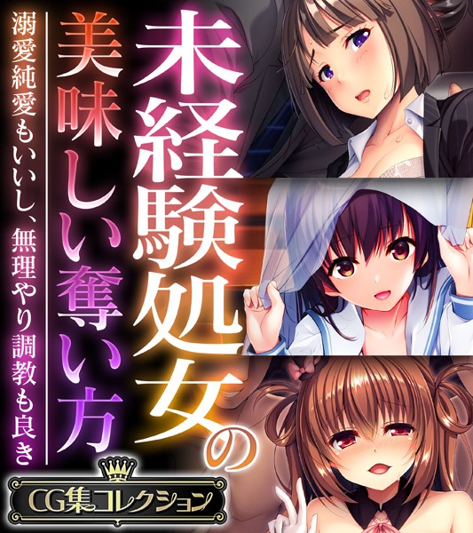 大人のSEXY絵本❤単行本|未経験処女の美味しい奪い方 〜溺愛純愛もいいし、無理やり調教も良き〜【CG集コレクション】-評価