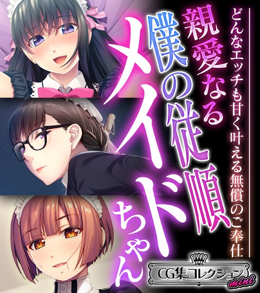 大人のSEXY絵本❤単行本|親愛なる僕の従順メイドちゃん 〜どんなエッチも甘く叶える無償のご奉仕〜【CG集コレクション ミニ】-評価