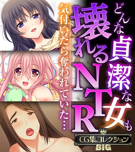 大人のSEXY絵本❤単行本|どんな貞潔な女も壊れるNTR〜気付いたら奪われていた…〜【CG集コレクションBIG】-評価