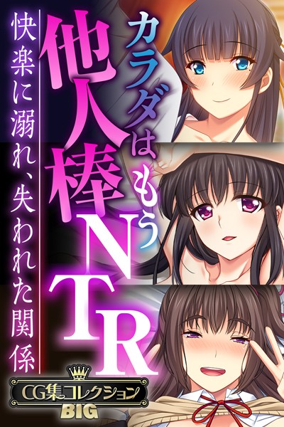 大人のSEXY絵本❤単行本|カラダはもう他人棒NTR 〜快楽に溺れ、失われた関係〜【CG集コレクションBIG】-評価