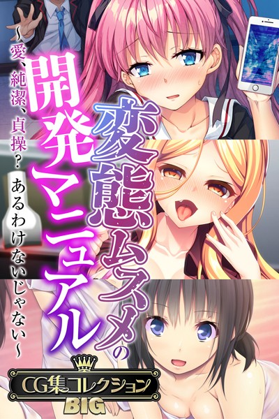 大人のSEXY絵本❤単行本|変態ムスメの開発マニュアル 〜愛、純潔、貞操？あるわけないじゃない〜【CG集コレクションBIG】-評価