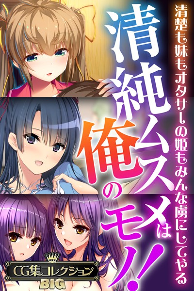 大人のSEXY絵本❤単行本|清純ムスメは俺のモノ！〜清楚も妹もオタサーの姫もみんな虜にしてやる〜【CG集コレクションBIG】-評価
