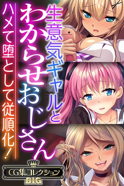 大人のSEXY絵本❤単行本|生意気ギャルとわからせおじさん 〜ハメて堕として従順化！〜【CG集コレクションBIG】-評価