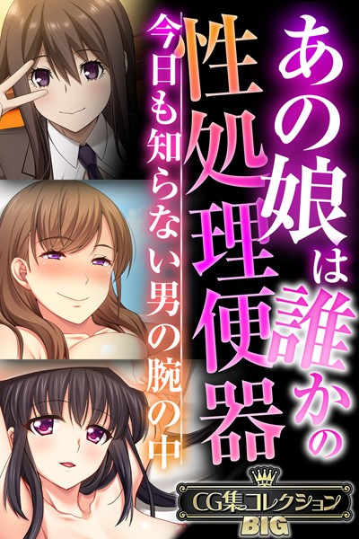 大人のSEXY絵本❤単行本|あの娘は誰かの性処理便器 〜今日も知らない男の腕の中〜【CG集コレクションBIG】-評価