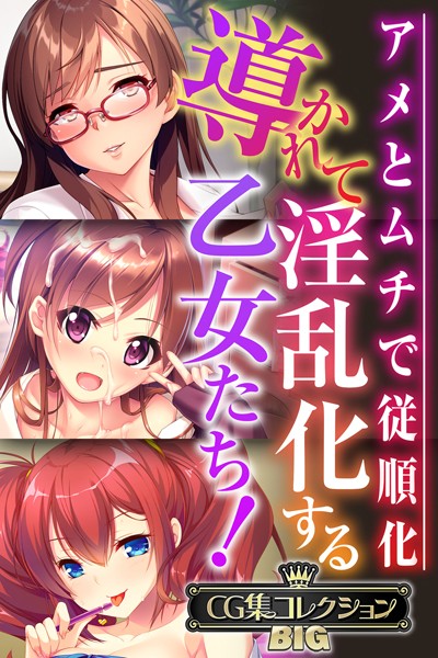 大人のSEXY絵本❤単行本|導かれて淫乱化する乙女たち！〜アメとムチで従順化〜【CG集コレクションBIG】-評価