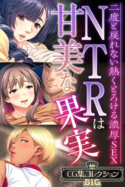 大人のSEXY絵本❤単行本|NTRは甘美な果実〜二度と戻れない熱くとろける濃厚SEX〜【CG集コレクションBIG】-評価
