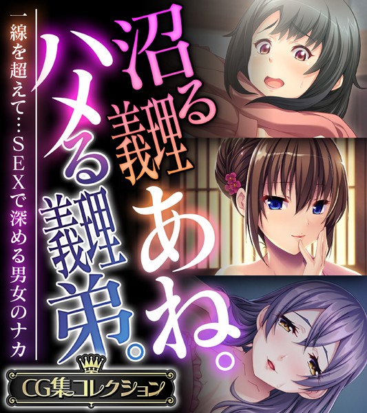 大人のSEXY絵本❤単行本|沼る義理あね。ハメる義理弟。 〜一線を超えて…SEXで深める男女のナカ〜【CG集コレクション】-評価