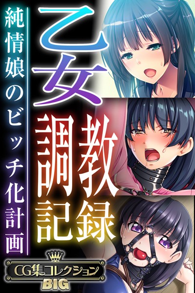 大人のSEXY絵本❤単行本|乙女調教記録〜純情娘のビッチ化計画〜【CG集コレクションBIG】-評価