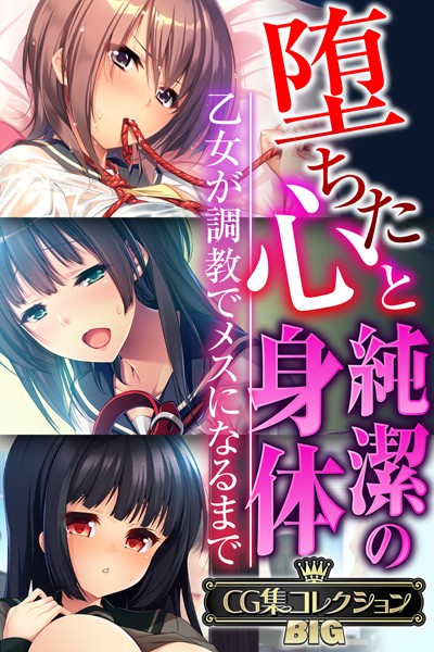 大人のSEXY絵本❤単行本|堕ちた心と純潔の身体〜乙女が調教でメスになるまで〜【CG集コレクションBIG】-評価