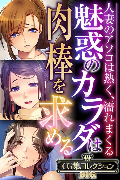 大人のSEXY絵本❤単行本|魅惑のカラダは肉棒を求める〜人妻のアソコは熱く、濡れまくる〜【CG集コレクションBIG】-評価