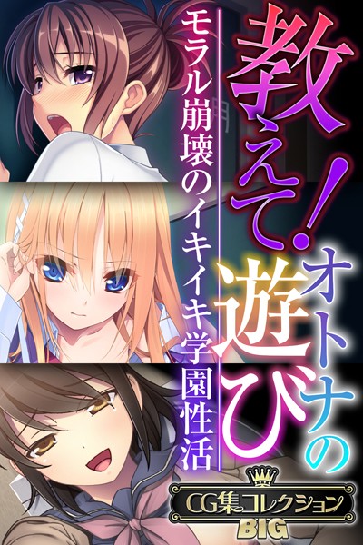 大人のSEXY絵本❤単行本|教えて！オトナの遊び 〜モラル崩壊のイキイキ学園性活〜【CG集コレクションBIG】-評価