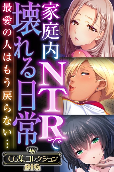 大人のSEXY絵本❤単行本|家庭内NTRで壊れる日常 〜最愛の人はもう戻らない…〜【CG集コレクションBIG】-評価