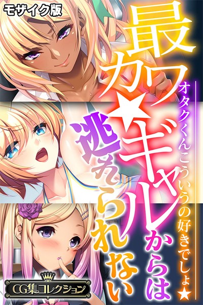 大人のSEXY絵本❤単行本|最カワ★ギャルからは逃れられない 〜オタクくんこういうの好きでしょ★〜 【CG集コレクション】 モザイク版-評価