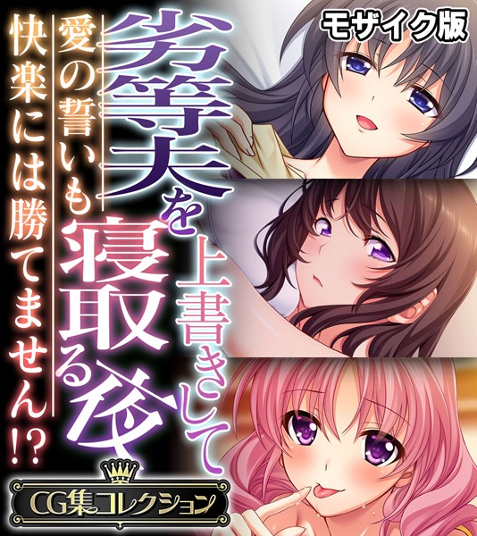 大人のSEXY絵本❤単行本|劣等夫を上書きして寝取る夜 〜愛の誓いも快楽には勝てません！？〜【CG集コレクション】 モザイク版-評価