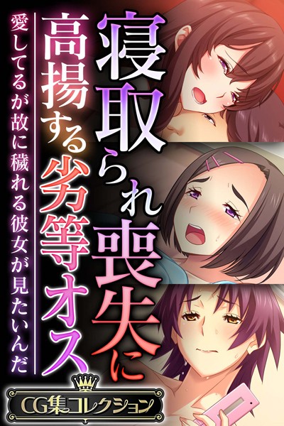 大人のSEXY絵本❤単行本|寝取られ喪失に高揚する劣等オス 〜愛してるが故に穢れる彼女が見たいんだ〜【CG集コレクション】-評価