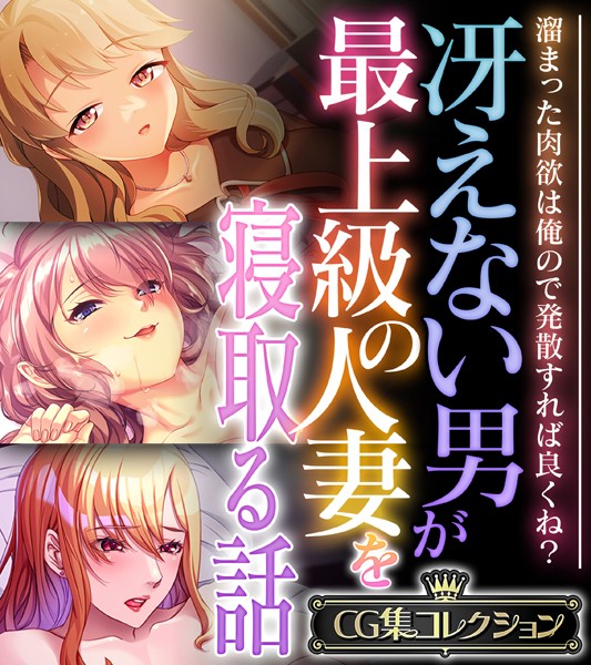 大人のSEXY絵本❤単行本|冴えない男が最上級の人妻を寝取る話 〜溜まった肉欲は俺ので発散すれば良くね？〜【CG集コレクション】-評価