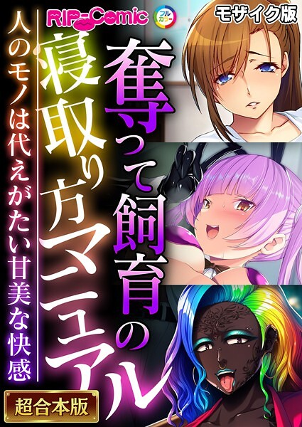 BENETTY❤フルカラー|奪って飼育の寝取り方マニュアル 〜人のモノは代えがたい甘美な快感〜【超合本シリーズ】 モザイク版-評価