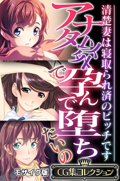 大人のSEXY絵本❤フルカラー|アナタ以外で孕んで堕ちたいの 〜清楚妻は寝取られ済のビッチです〜【CG集コレクション】 モザイク版-評価