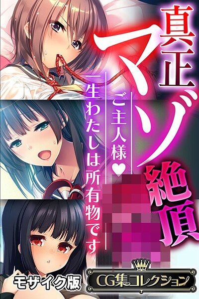 大人のSEXY絵本❤フルカラー|真正マゾ絶頂●● 〜ご主人様 一生わたしは所有物です〜【CG集コレクション】 モザイク版-評価