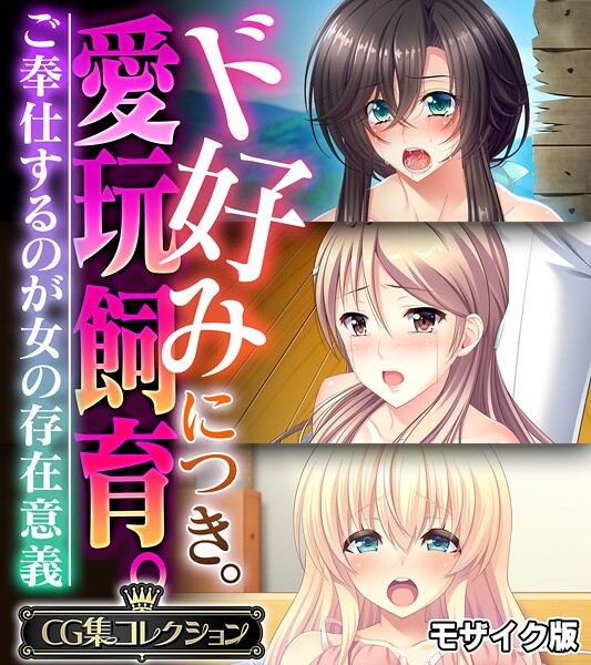 大人のSEXY絵本❤フルカラー|ド好みにつき。愛玩飼育。 〜ご奉仕するのが女の存在意義〜【CG集コレクション】 モザイク版-評価