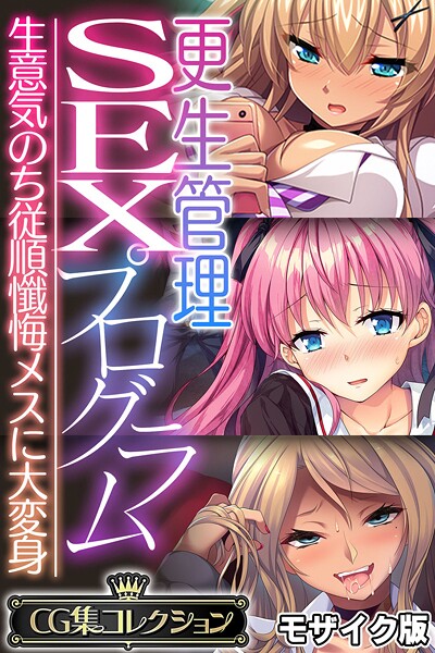 大人のSEXY絵本❤フルカラー|更生管理SEXプログラム 〜生意気のち従順懺悔メスに大変身〜【CG集コレクション】 モザイク版-評価